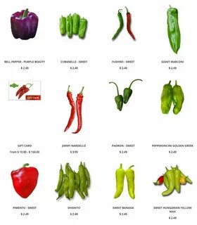 Pepper с английского на русский