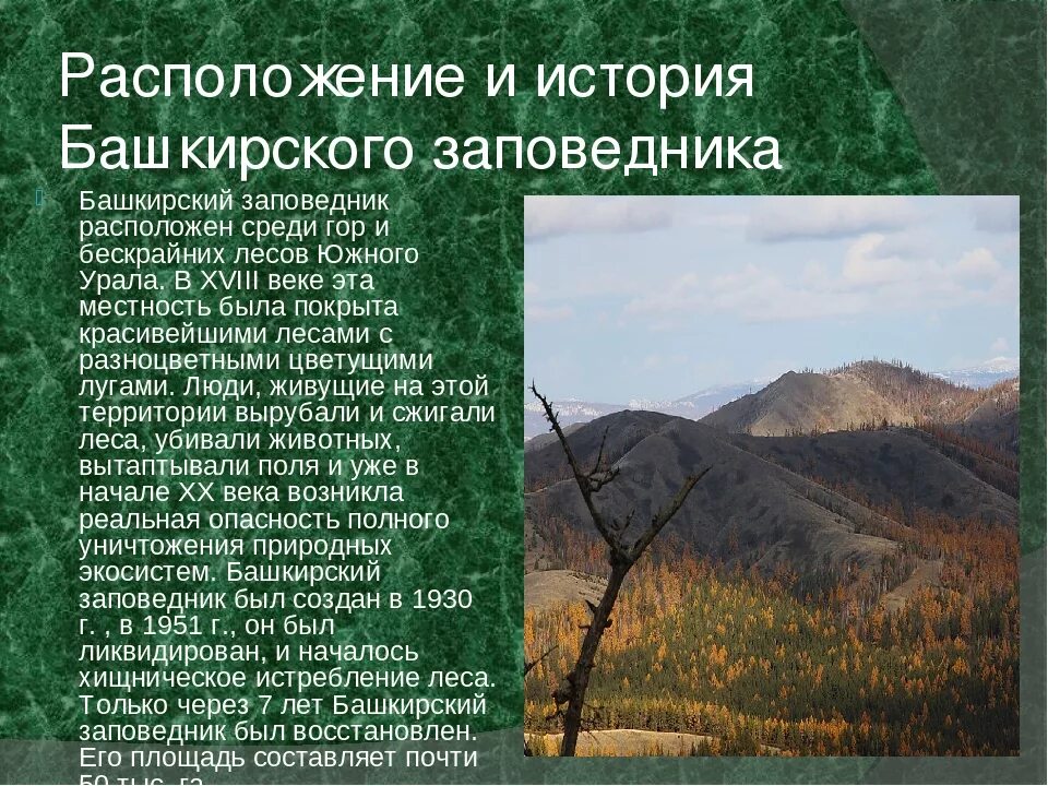 Национальные парки сообщение кратко. Башкирский Урал заповедник. Заповедники Башкортостана рассказ. Заповедники презентация. Рассказ о заповеднике.