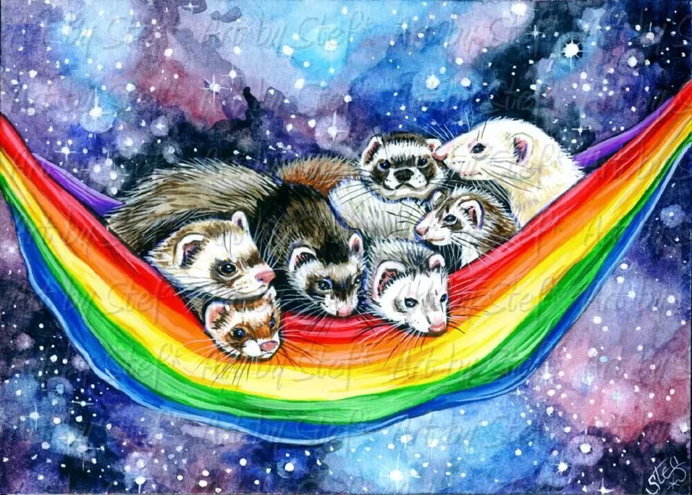 Rainbow animals. Животные на радуге. Радужные хорьки. Хорек картина. Хорек рисунок.