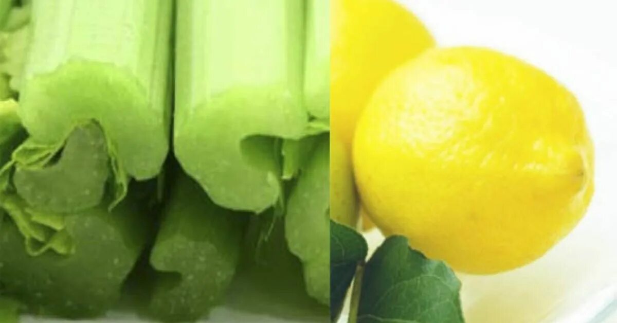 Сельдерей корневой. Петрушка для очищения печени. Сельдерей рвссажа. Низкокалорийная трава. Сельдерей и лимон.