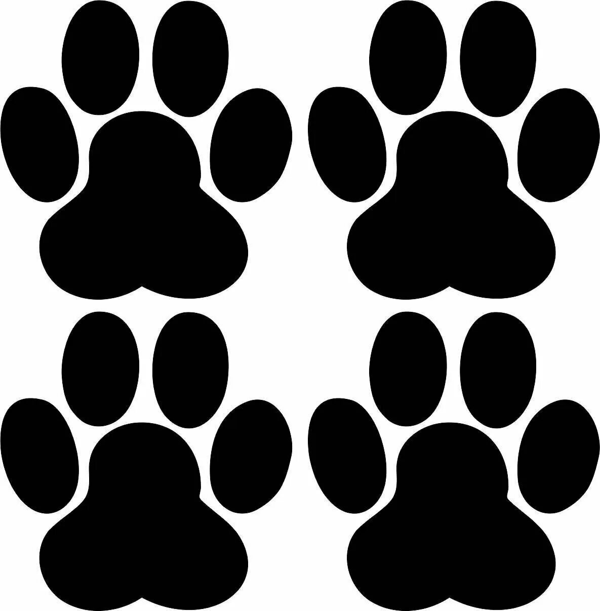 след собаки. отпечаток следа собаки. отпечаток лапки кота. лапки на белом фоне. отпечаток лапки кота.