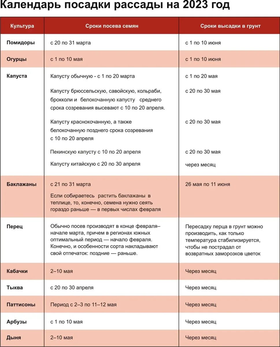 Дни когда сеять помидоры на рассаду