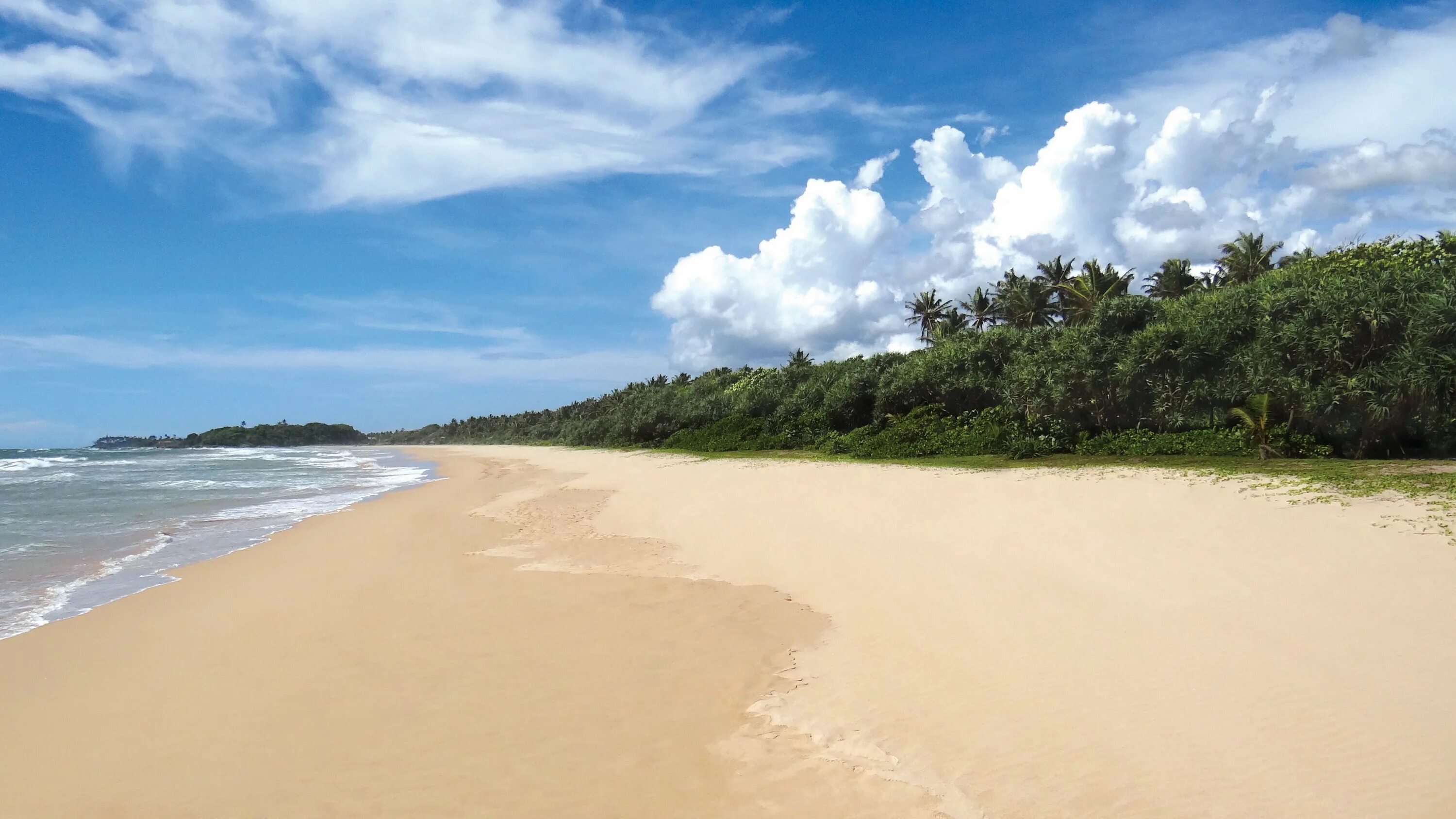 Centara ceysands resort шри ланка. Centara Шри Ланка. Bentota Шри Ланка пляжи. Сентара сейсанд Шри Ланка. Центара Шри Ланка Бентота.