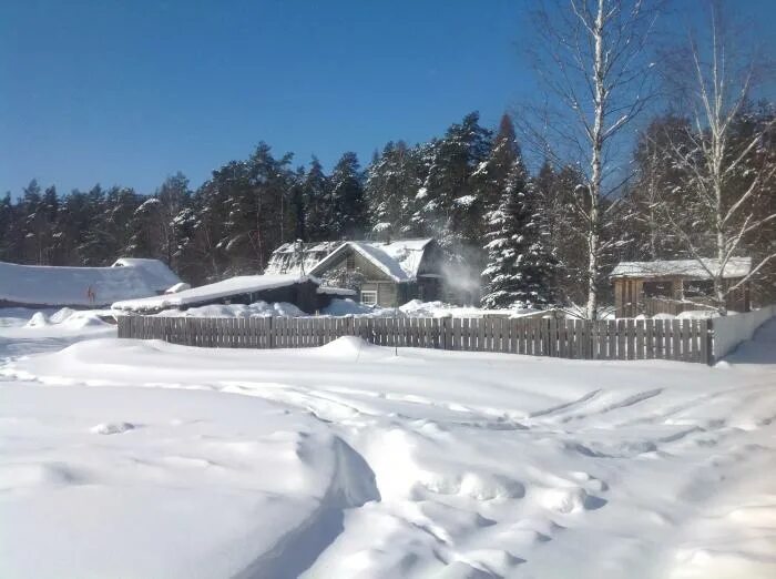Богородское лесничество. Богородское лесничество
