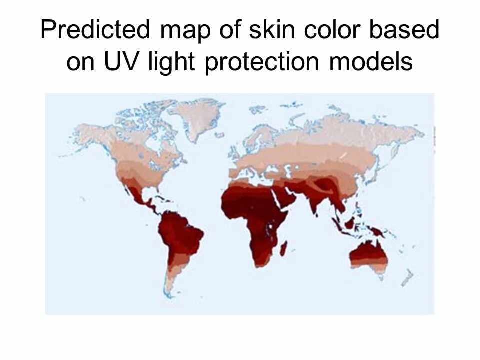 Кожевенное на карте. Карта цвета кожи. Карта распределения цвета кожи людей. Карта цвета кожи человека. Skin Color Map.