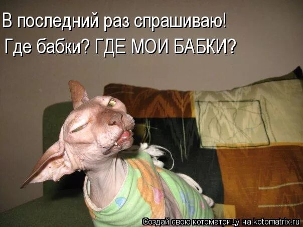 Где эта бабка. Юморные тексты. Где эта бабка. Где эта бабка. Где деньги лебовски.
