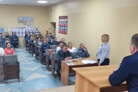 Сизо гуфсин