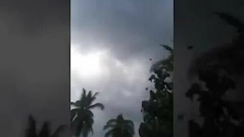 Странные звуки