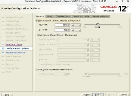 Config option