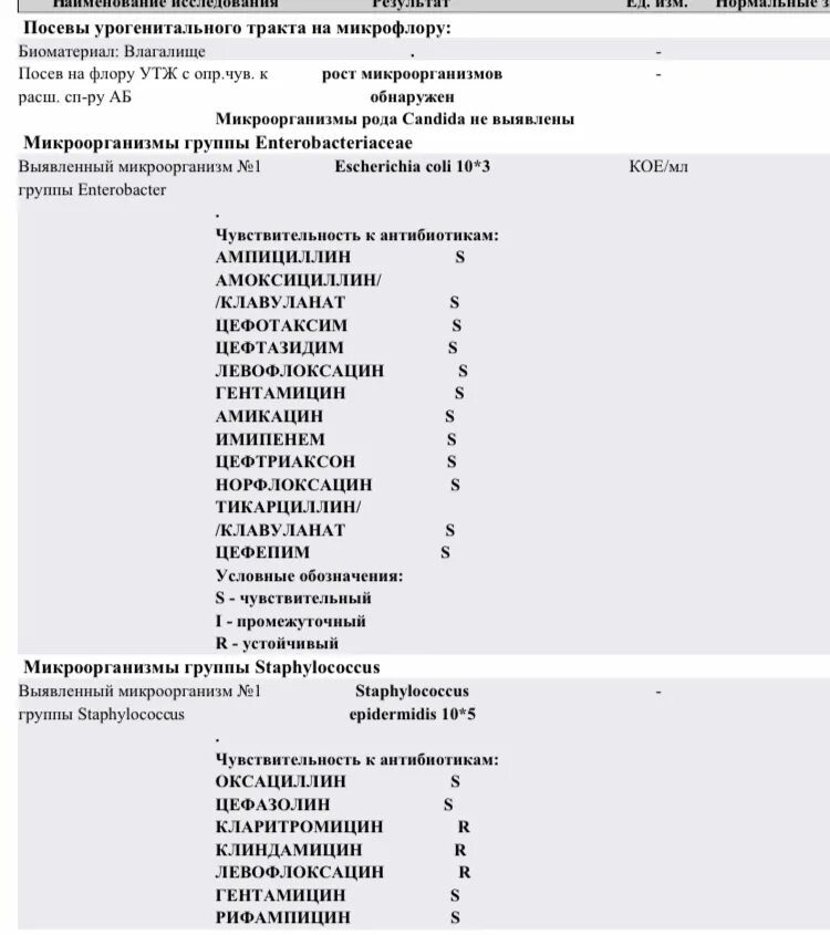 Escherichia coli что это у мужчин. Бак посев мочи Escherichia coli 10 4. Посев урогенитального тракта на микрофлору. Escherichia coli бак посев. Посевы урогенитального тракта на микрофлору норма.