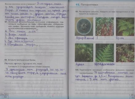 Биология 5 класс рабочая тетрадь страница 44