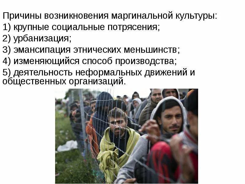 Крупнейшее этническое меньшинство турции составляют