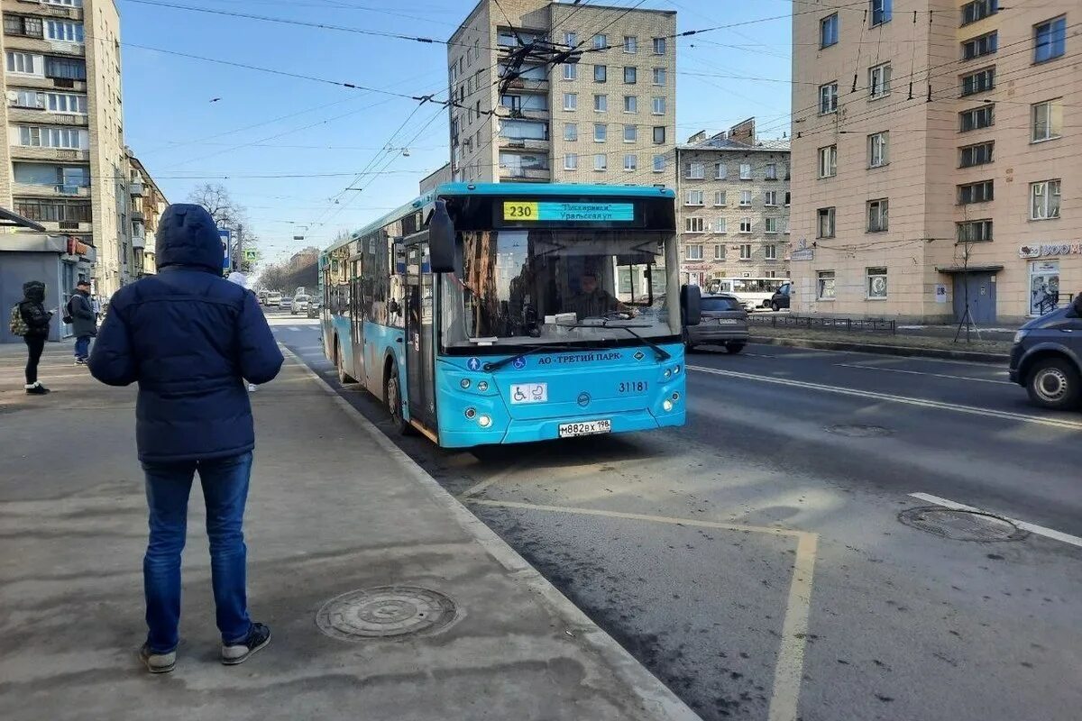 Как оплачивать общественный транспорт в санкт петербурге. Транспортная реформа. транспортная реформа питер. общественный транспорт петербурга. автобус санкт-петербург.