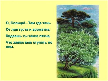 Там где ветры