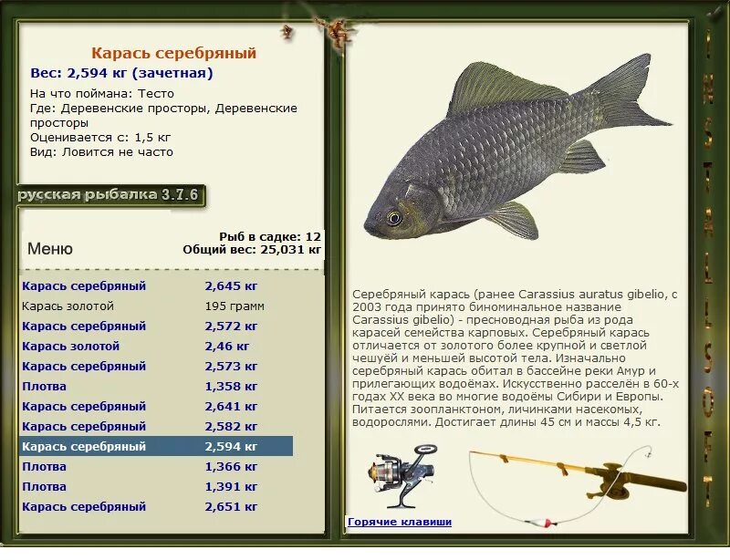лобарик рыба. род рыб 5 букв. русская рыбалка 3. род рыб 5 букв. рыбалка нельма.