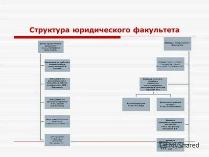 Структура юристов