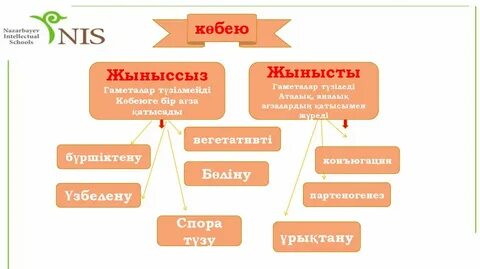 Криштиану Роналдудың гей екені рас па?