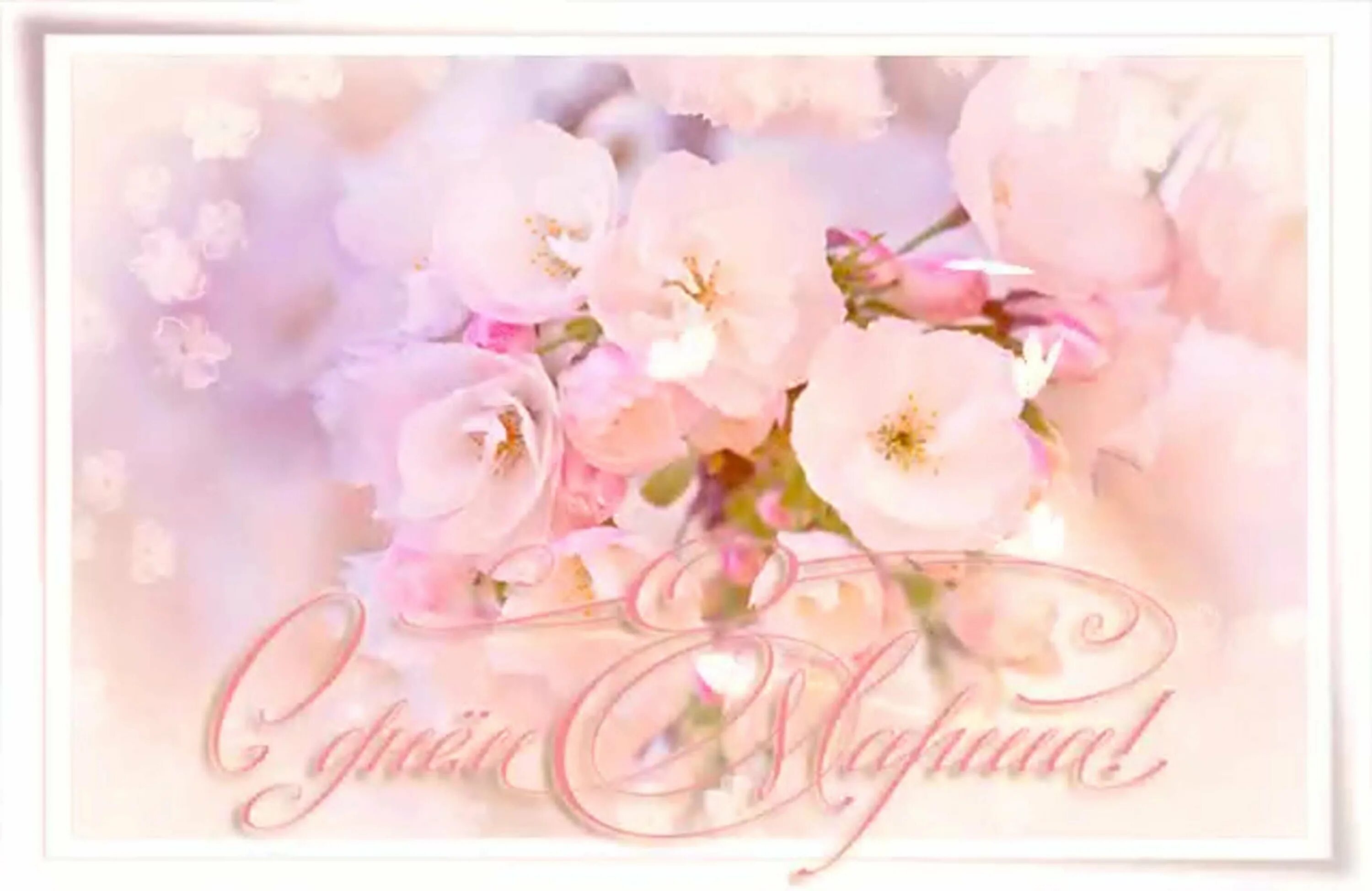 С 8 мартом поздравления женщинам красивые нежные. Открытка нежные цветы. Открытки с нежными цветами.