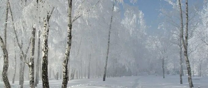 Зимняя Запорошенная тропинка. Тропинка запорошена снегом. Тропинка запорошена.