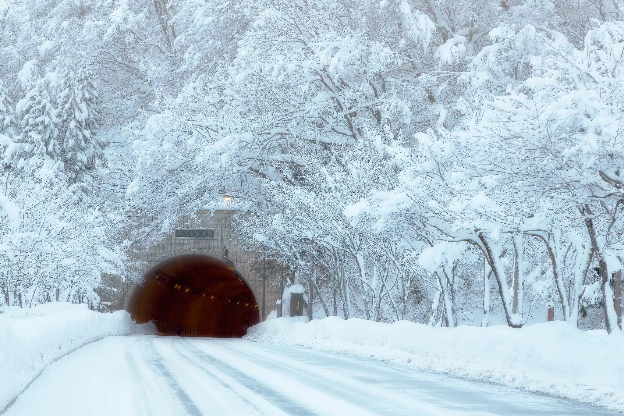 Снег среди зимы. Зимний тоннель. Тоннель в снегу. Много снега. Зима в Японии.