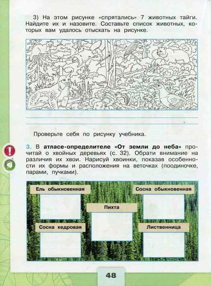 Леса России 4 класс окружающий мир школа России рабочая тетрадь. Окружающий мир 4 класс рабочая тетрадь мир леса. Окружающий мир Плешаков рабочая тетрадь 4 класс тема леса России. Леса России 4 класс окружающий мир рабочая тетрадь.