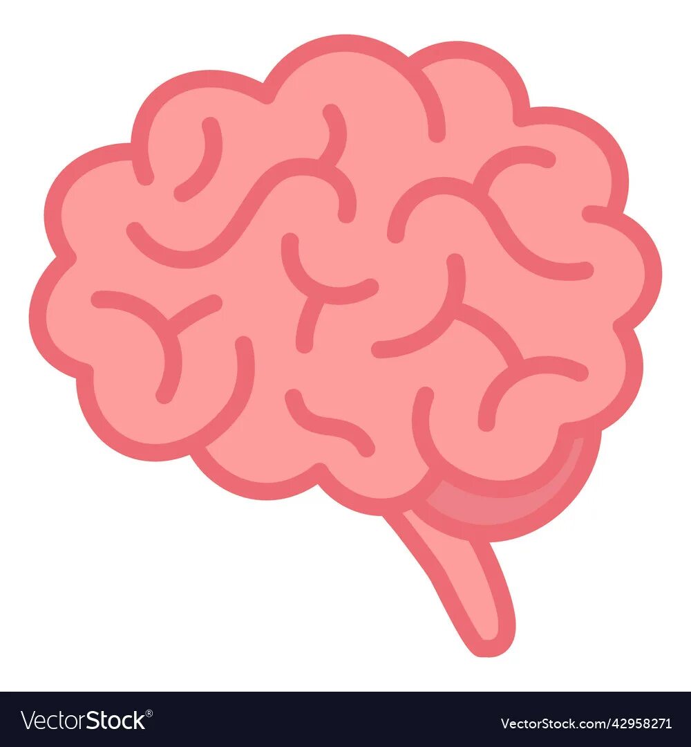 High brains. Мозг PNG. Мозг вектор PNG. Stroke Flat. High Brain.