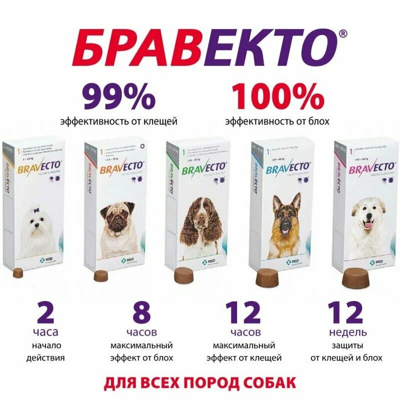 От клещей для собак минск. Бравекто таблетки от блох и клещей для собак 10-20 кг (1таб). таблетка бравекто для собак 20-40 2 таблетка. капли бравекто для собак 4-10 кг. бравекто таблетки для собак 10-20 кг.