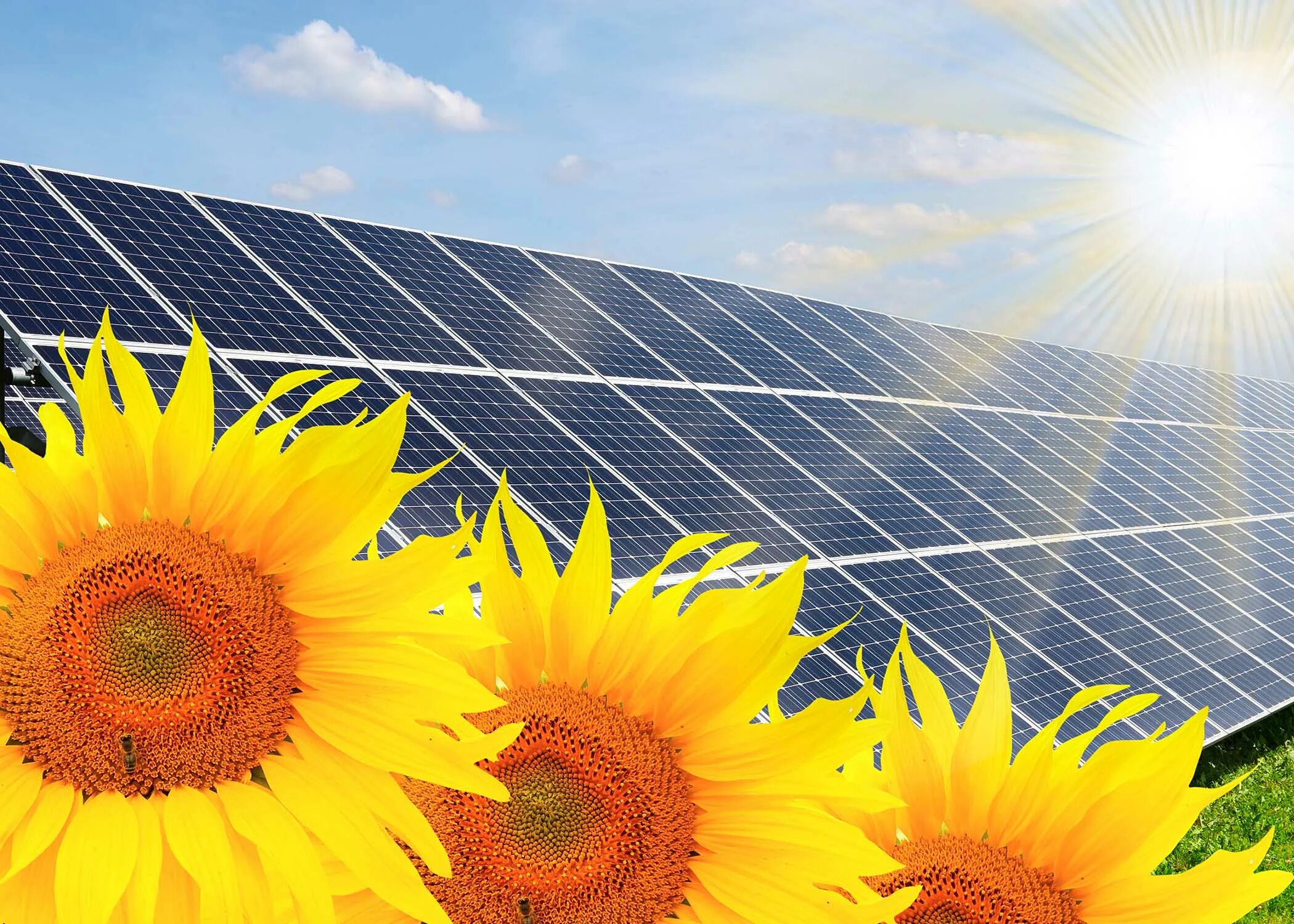 Солнечных дней в минске. Количество солнечных дней в году. Количество солнечных д. Весеннее солнышко. Лето тепло солнце.