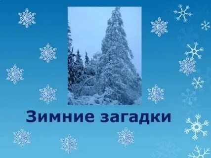 Отгадай загадку зима