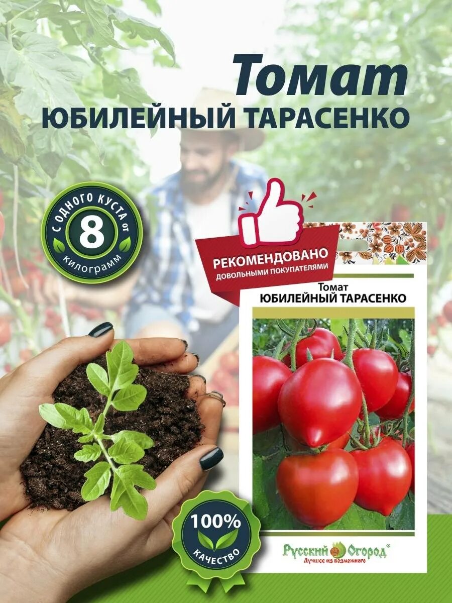 Помидоры юбилейный тарасенко. Томат Юбилейный Тарасенко 0,1г НК. Сорт томата Юбилейный Тарасенко. Семена томат Юбилейный Тарасенко русский огород.