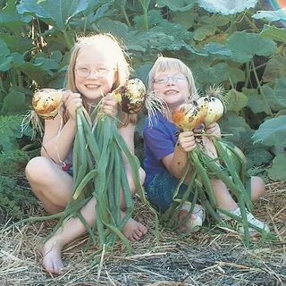 Cute little gallery az onion links