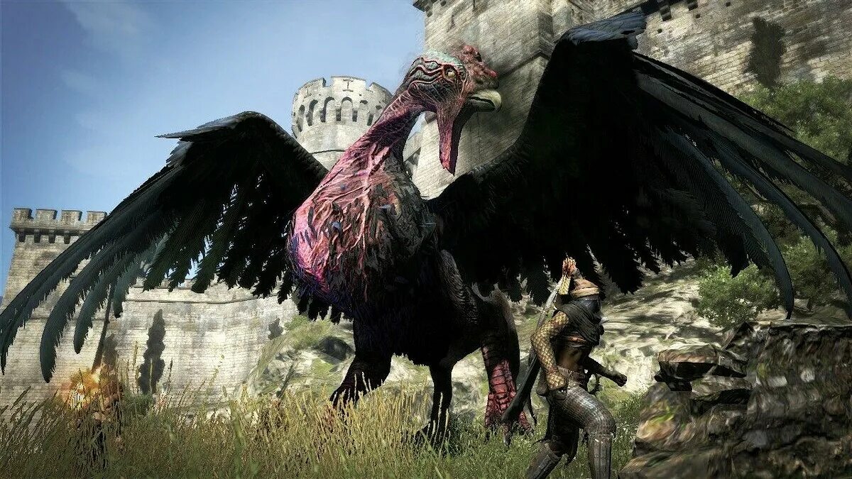 Dragons dogma 2 гигантский страж. Василиск Ведьмак 3. Кокатрикс Ведьмак 3. Драгон Догма ВИВЕРНЫ. Dragons Dogma 2 скрины.