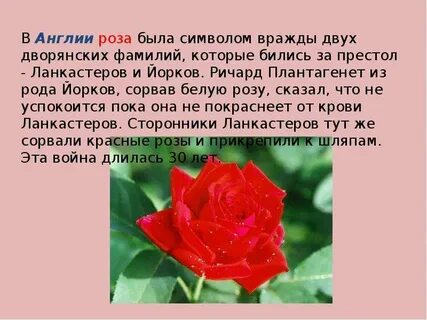 Символ англии