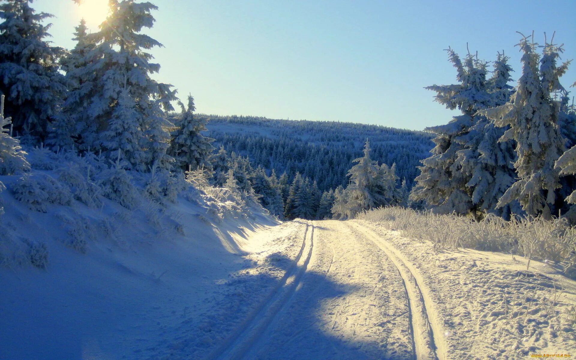 Тема зимней дороги. Зимняя дорога. Зимняя дорога в лесу. Заснеженная дорога. Заснеженная Лесная дорога.