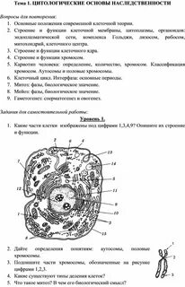 Тест основы наследственности