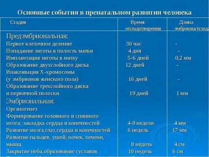 Начальный период развития человека картинка