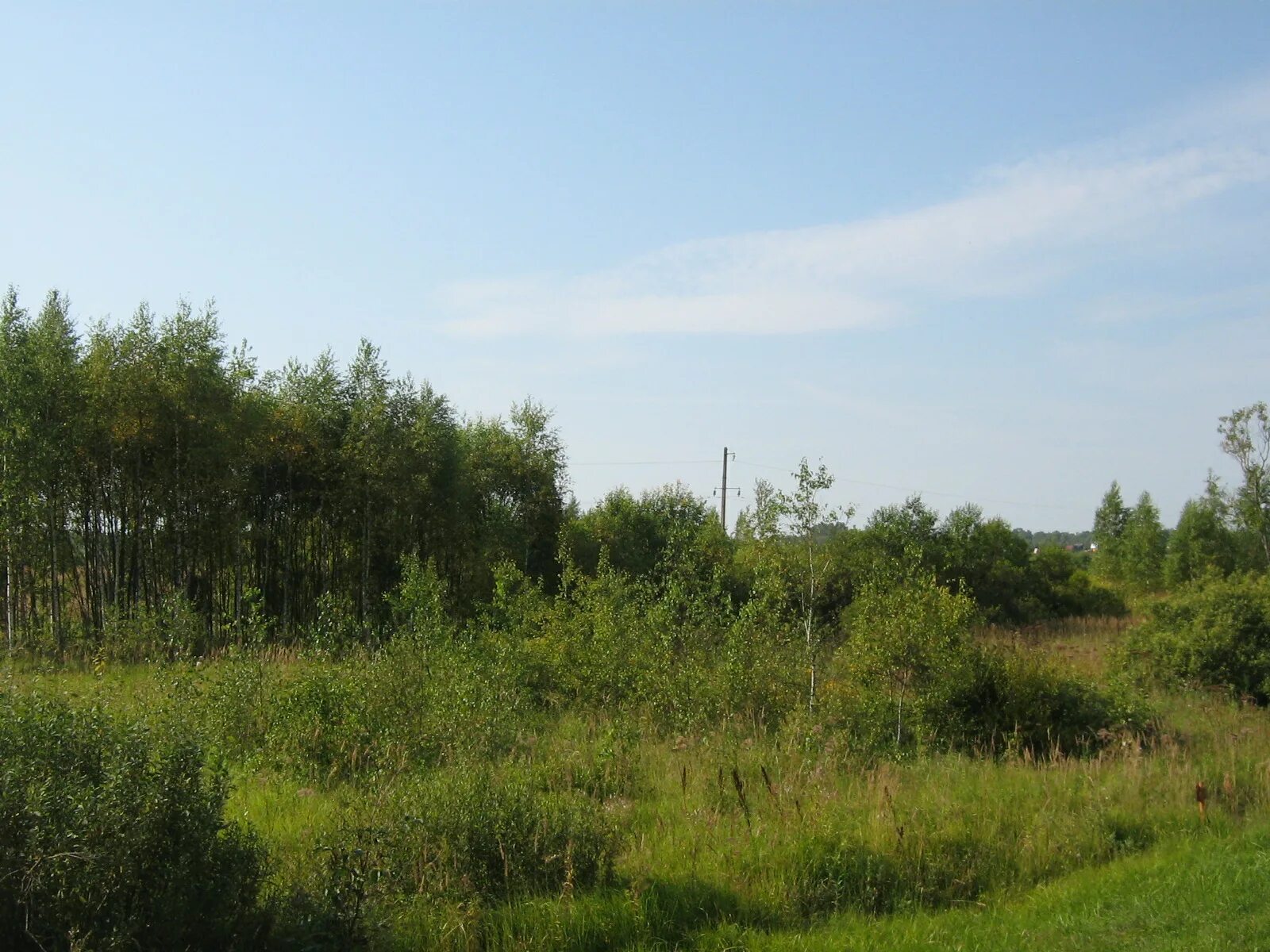 подвойское бельский район тверская область деревня. участок 250 гектар. тверская область парфеново гектар. свалка на землях сельхозназначения. деревня леоново тверская область рамешковский район.