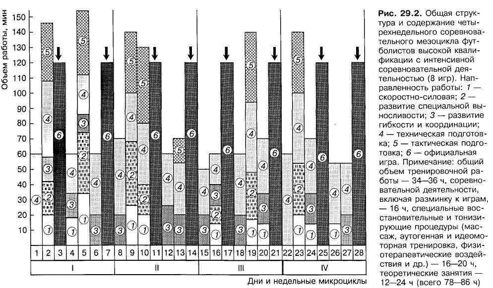 Микроцикл в спорте. Схема построения тренировочного мезоцикла. Микроцикл мезоцикл макроцикл. Ударный микроцикл в лыжных гонках. Схема мезоциклы микроциклы.