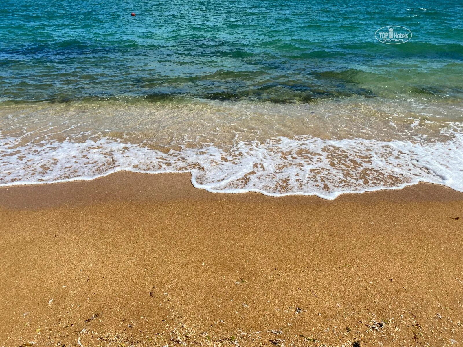 Песчаный пляж в адлере и сириусе. Песочный пляж в лазаревском. Сочи где песчаные. Черное море сочи песок. Сочи где песчаные.