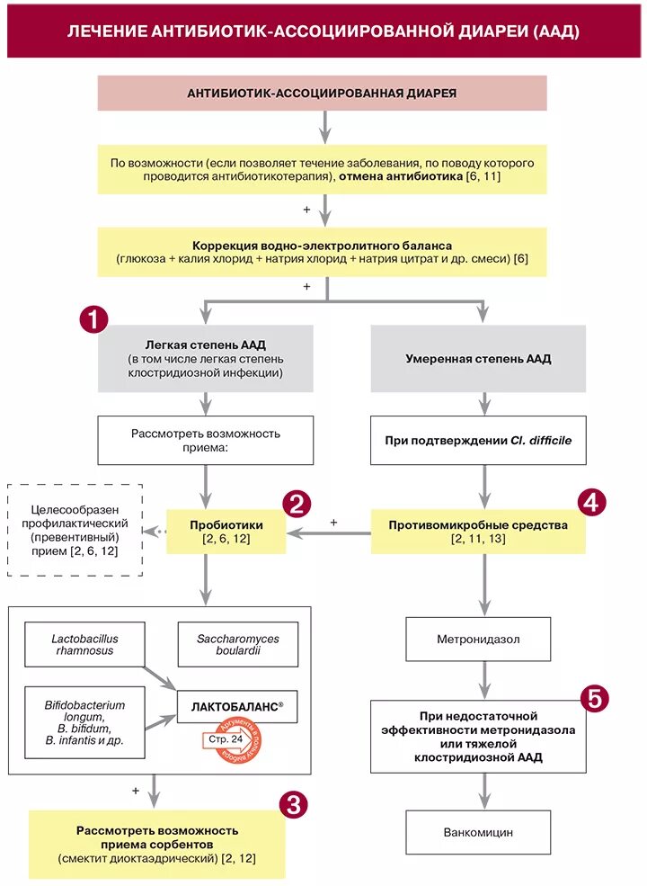 После приема антибиотиков понос