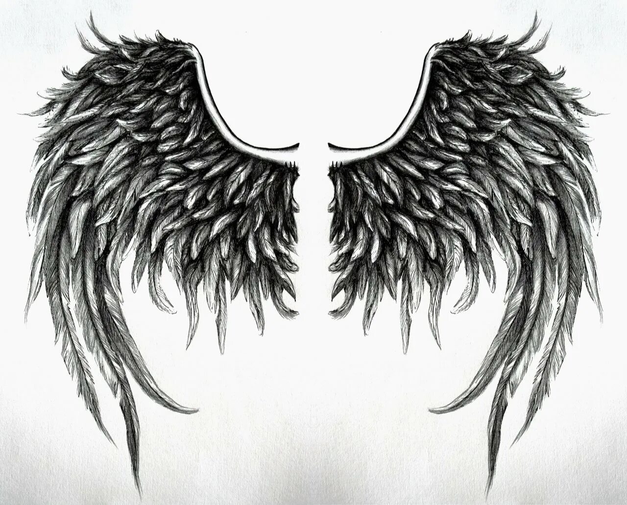 картинка черно белые крылья. тату крылья трафарет. картинка черно белые крылья. крылья демона. крылья демона.