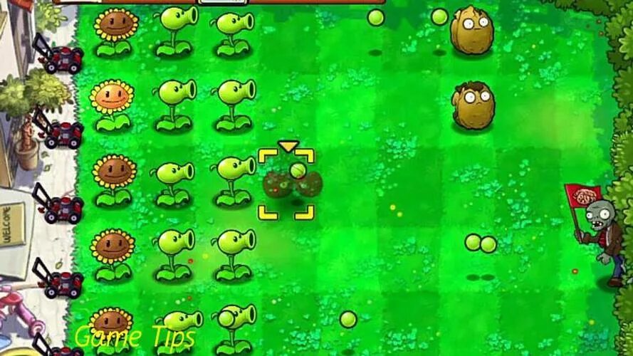 Plants vs Zombies 23.