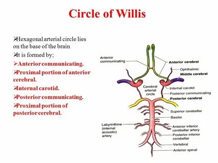 Circle of inevitability
