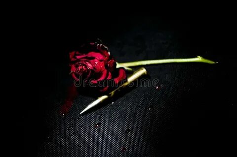 Destroy rose