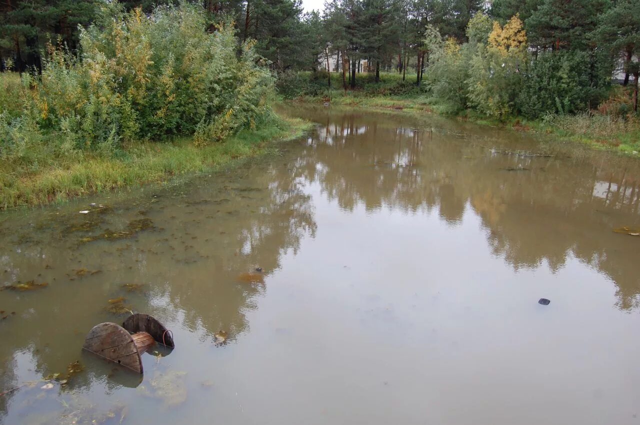 черная речка спб район. река чир ростовская область. река ока касимов осень. река вязовня. заринский район река аламбай.
