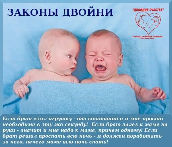 Стих про близнецов