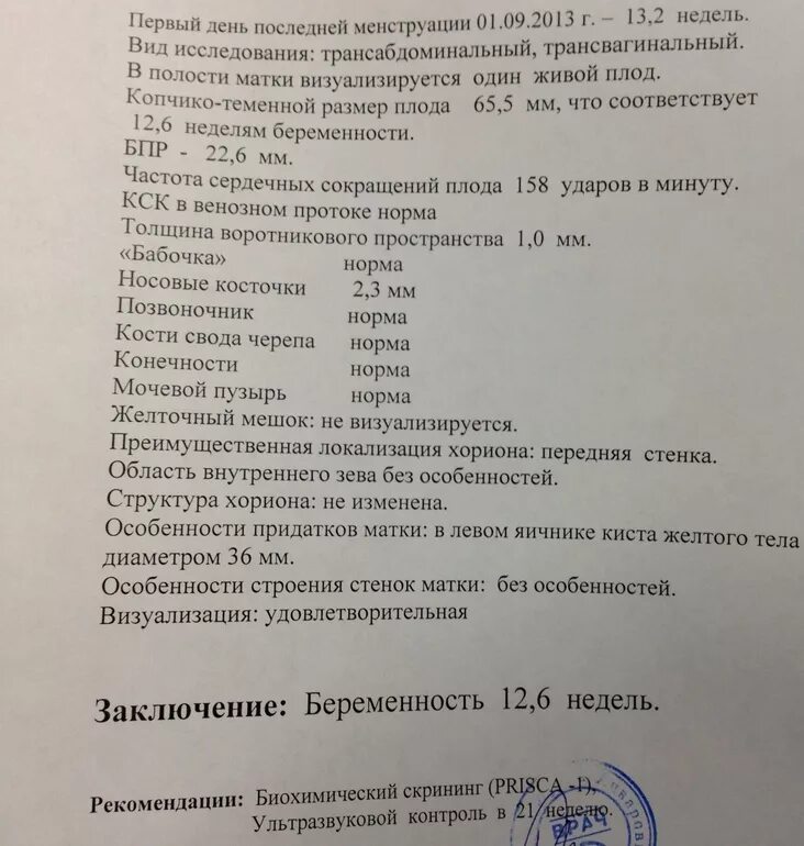 УЗИ 6 недель беременности заключение. УЗИ на 5 неделе беременности заключения. Протокол УЗИ 8 недель беременности. Протокол УЗИ беременности 6 недель. 3 недели содержание