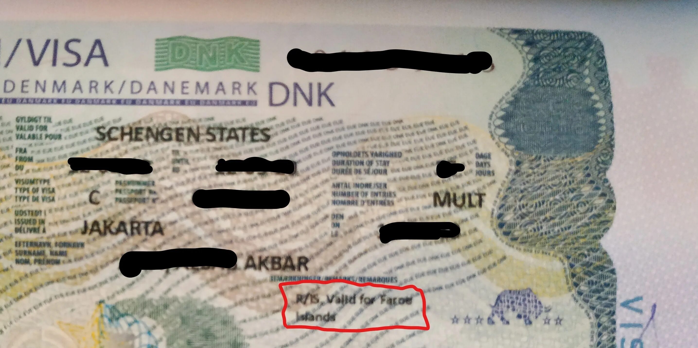 Visa valid. Виза в Данию. Виза в Денмарк. Фото паспортной визы для Дании.