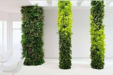 Искусственные растения