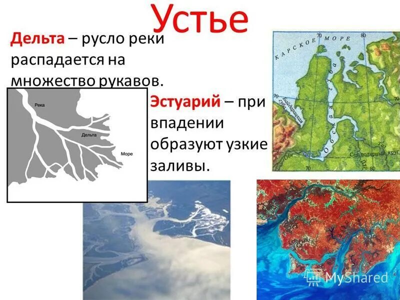 Устье и дельта